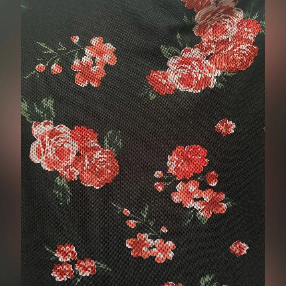 Mesh Long sleeve Mini Dress Black with Red Roses Used twice Excellent condition - Picture 4 of 4